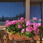 Ad'eldorado 3*